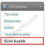 wordpress-2.9-tema-ozel-baslik1