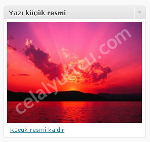 wordpress-2.9-yazi-kucuk-resim1